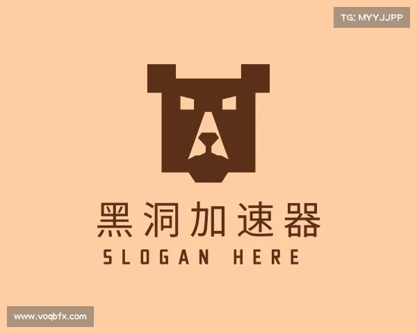 介绍黑洞加速器